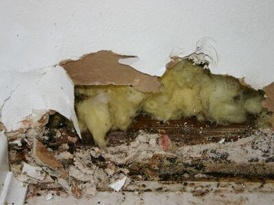 About Craft Water Restoration - water damage restoration experts in New River, AZ